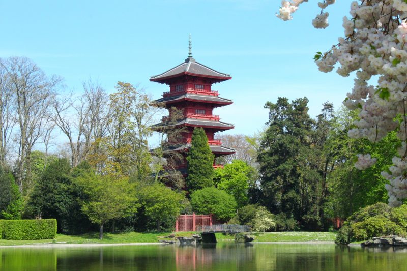 Japanse Toren Laken