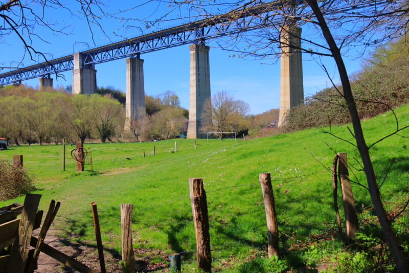 Moresnet spoorwegviaducht wandeling daslook en zinkviooltjes