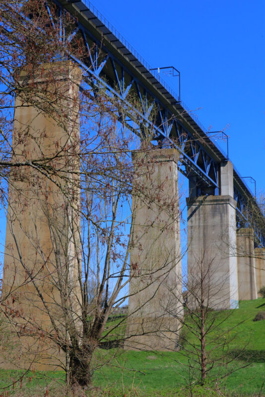 Viaduct van Moresnet wandeling daslook en zinkviooltjes