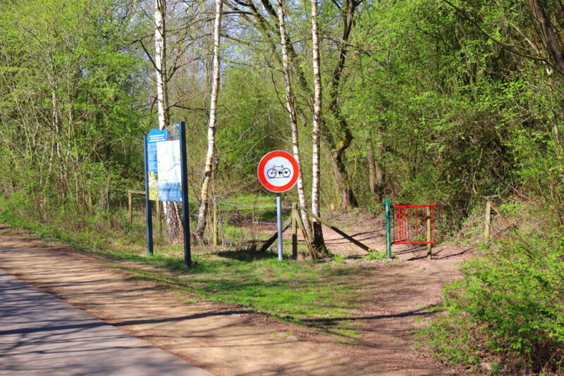Toegang mijnsite Plombières Wandeling zinkviooltjes en daslook