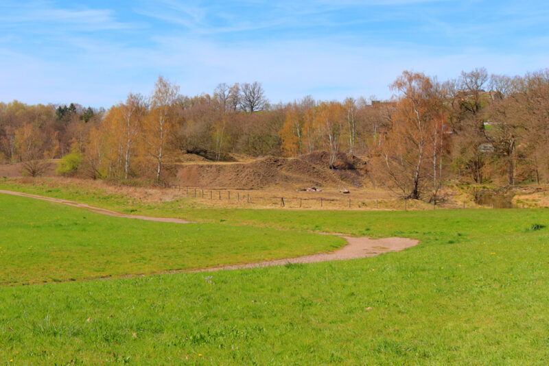 Mijnterrein Plombières wandeling daslook en zinkviooltjes