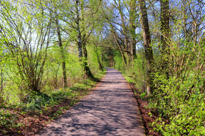 RAVeL39B Wandeling zinkviooltjes daslook